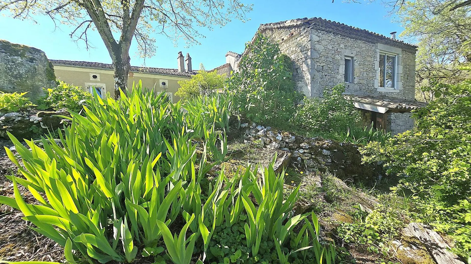 Magnifique Ferme Renovee Et Sa Piscine Ecologique - 15 Personnes - 7 Chambres Touffailles Nyaraló
